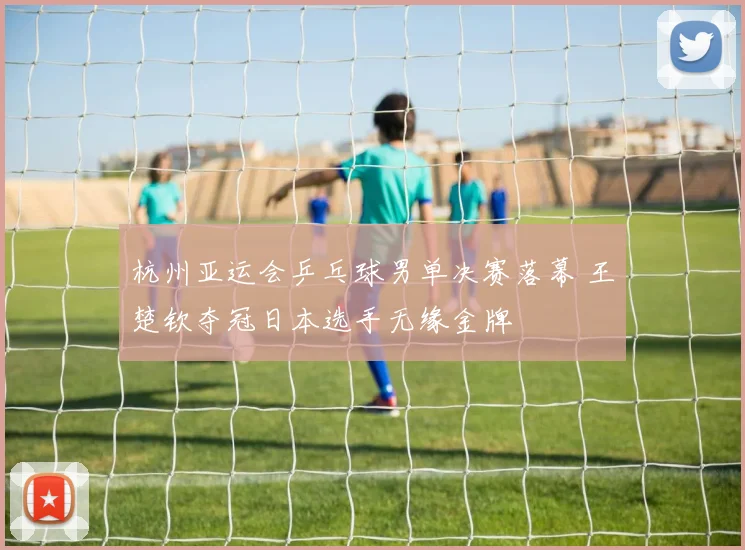 杭州亚运会乒乓球男单决赛落幕 王楚钦夺冠日本选手无缘金牌